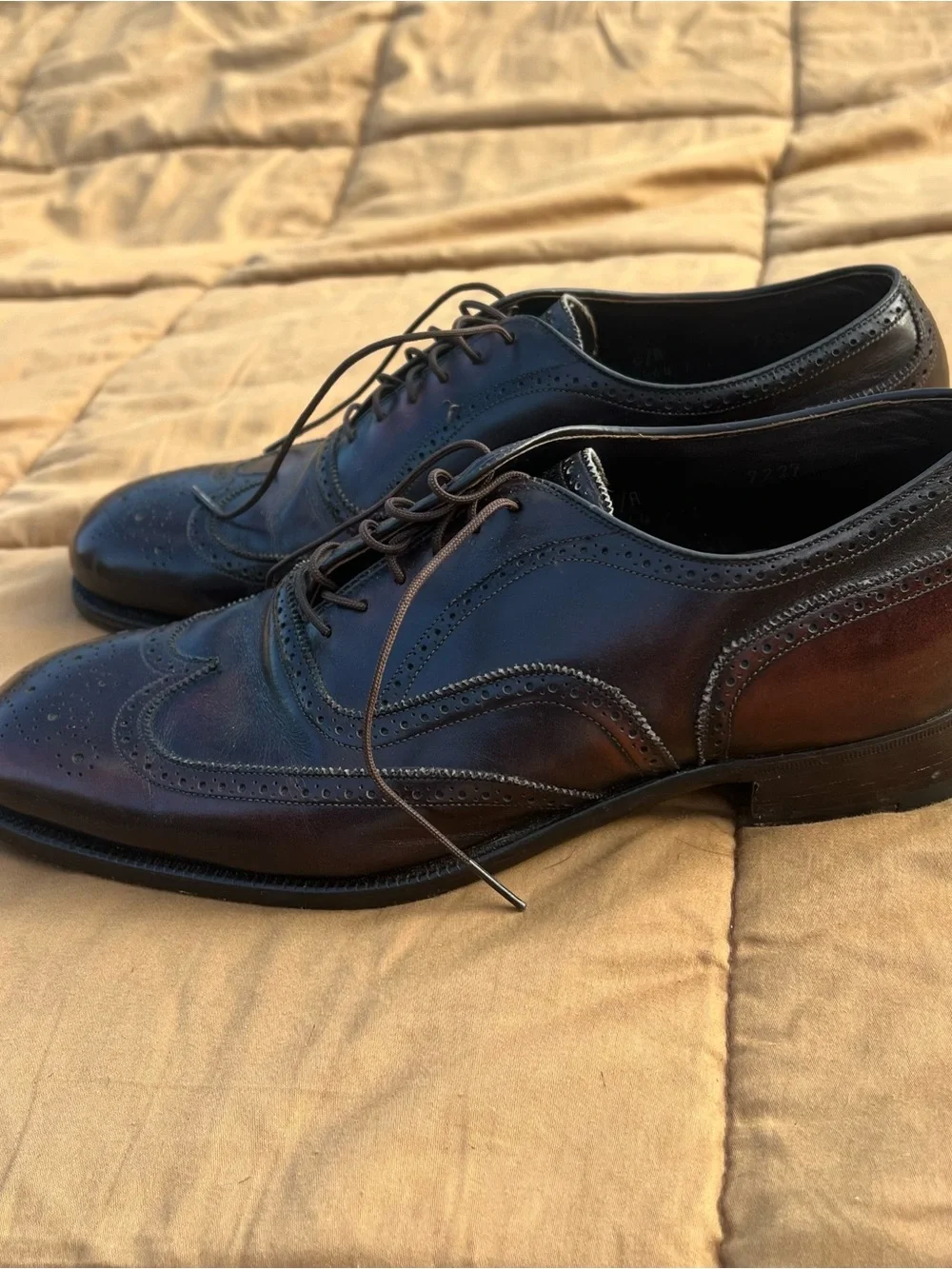 Carroll & Co Beverly Hills Burgundy Wingtip Brogue Lace Up Oxfords Size 8